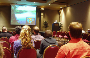 presentation