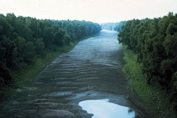 Sedimentation